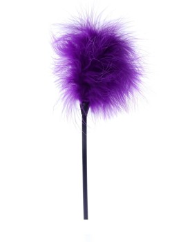 Przejdź do produktu Feather Tickler Purple   B   Series Fetish
