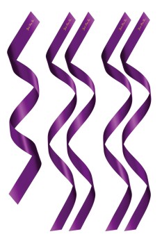 Przejdź do produktu PACK HEADBANDS 1 + 4 PURPLE (Size: TU)