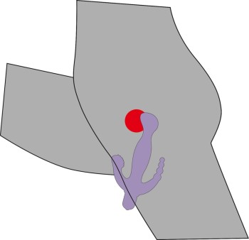 6-1599.jpg