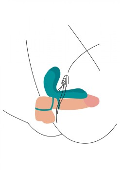 4-6588.jpg