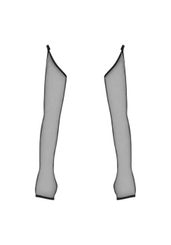 5-6286.jpg