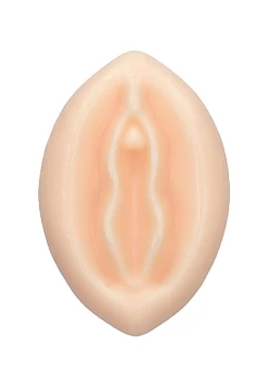 1-9504.jpg