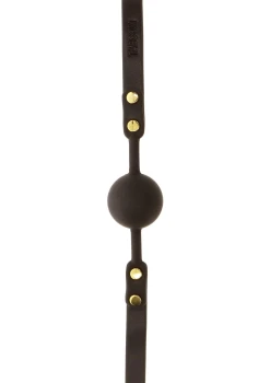 6-5517.jpg