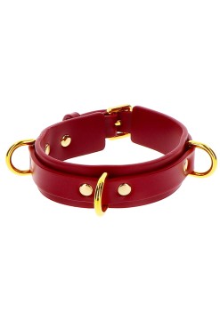 Przejdź do produktu D Ring Collar Deluxe Red
