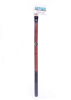4-4620.jpg