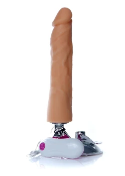 2-7555.jpg
