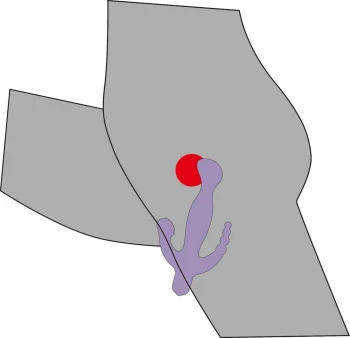 6-1599.jpg