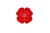 5-7145.jpg