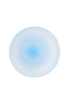 4-780.jpg