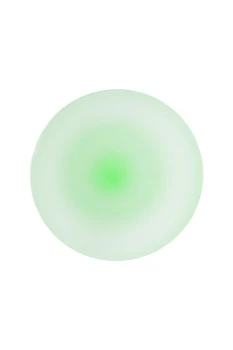 4-777.jpg