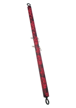 1-7762.jpg