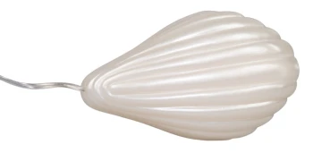 4-2544.jpg