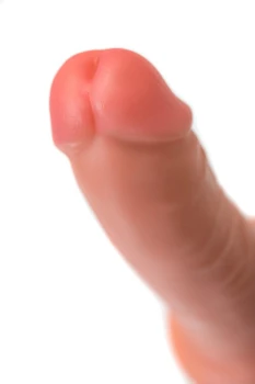 13-69.jpg