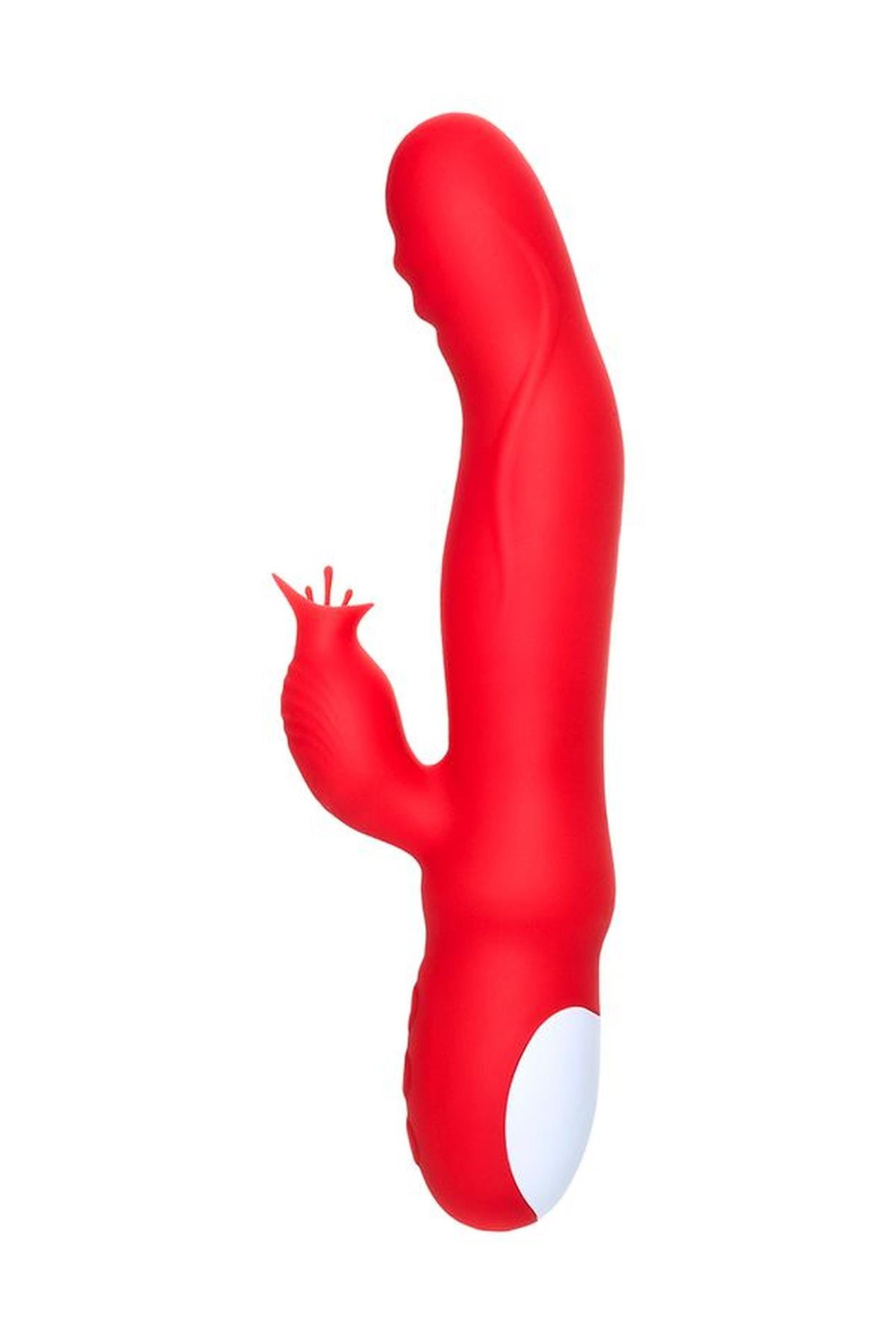 2-1018.jpg